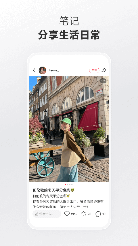 雨后森林蘑菇圈的奇幻壁纸